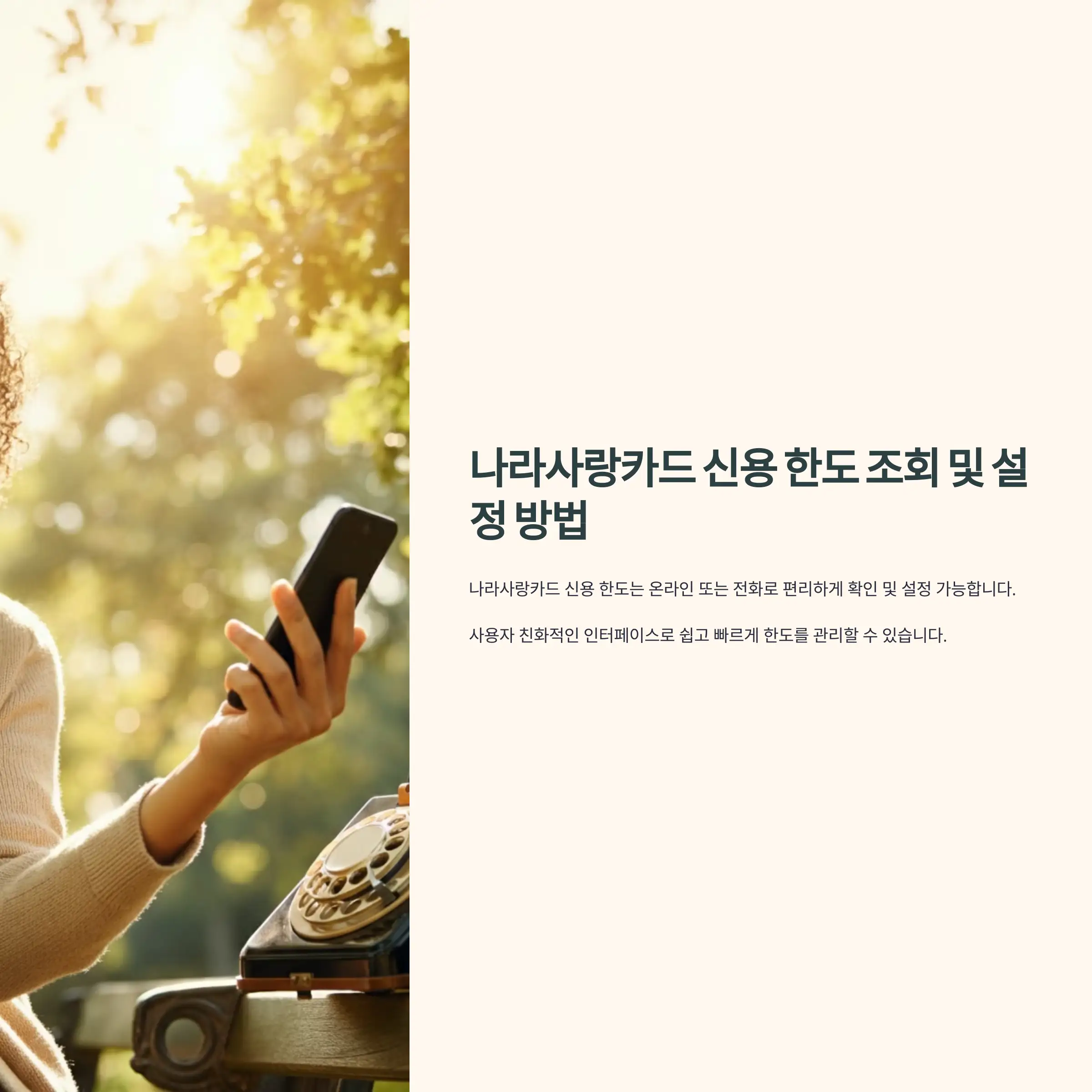 나라사랑카드 신용 한도 조회 및 설정 방법