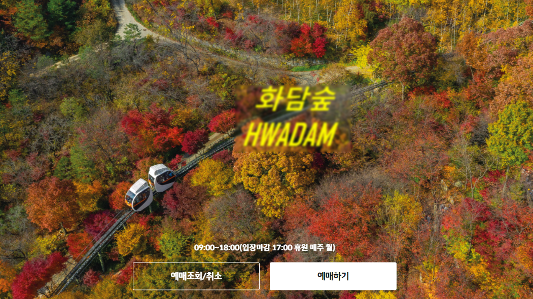 화담숲 모노레일 예매