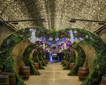 무주 반딧불이 축제6