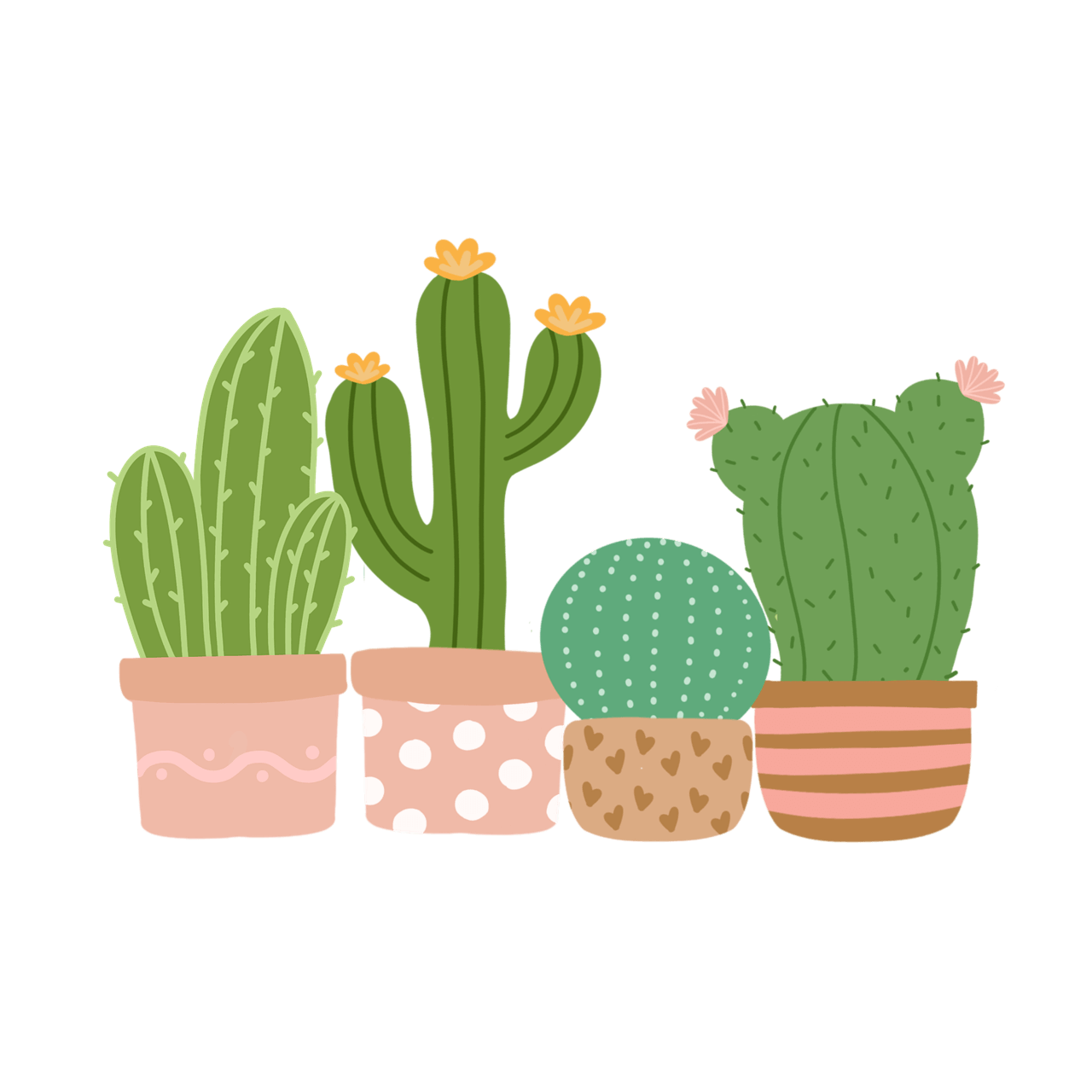 여름철 실내식물 돌보기, 실수와 온도 조절 노하우