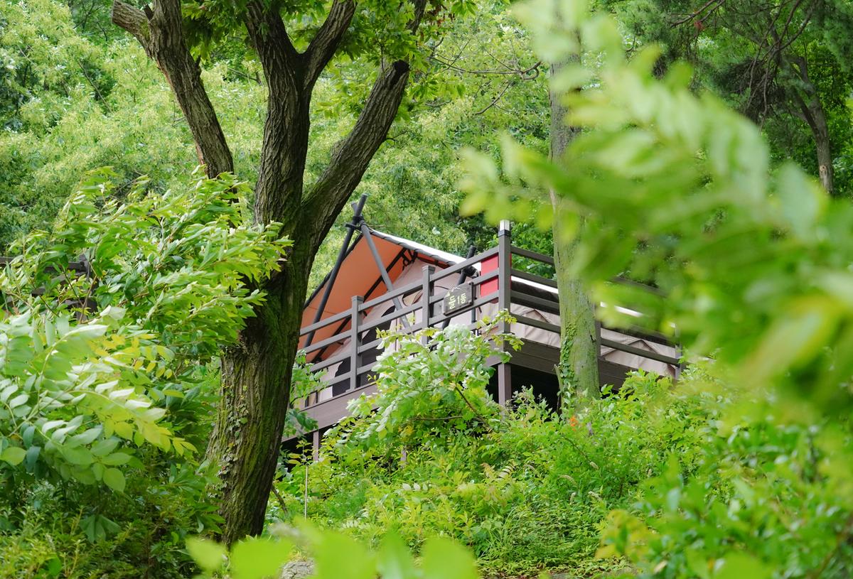 경남 신어산자연숲캠핑장