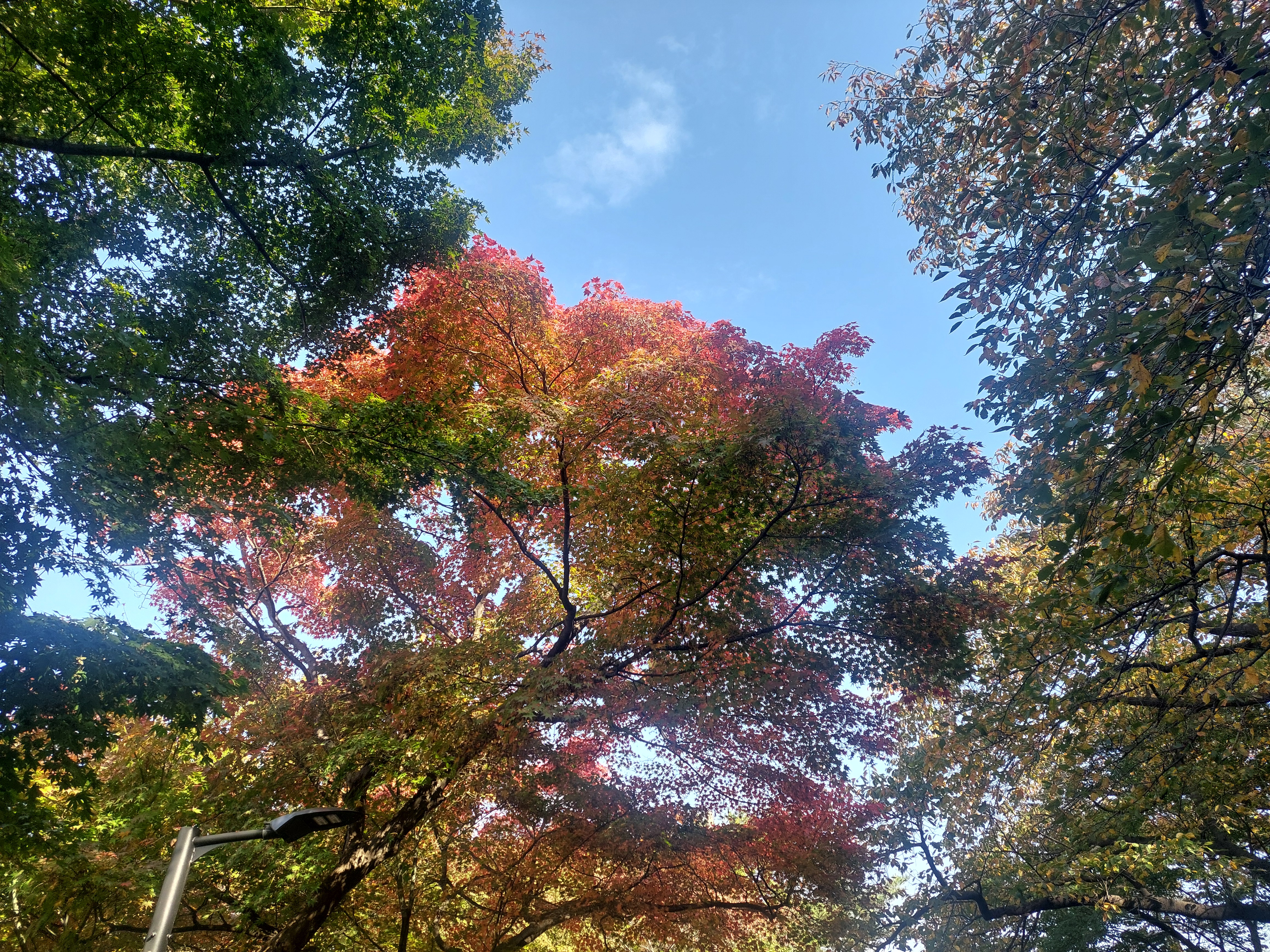 남산