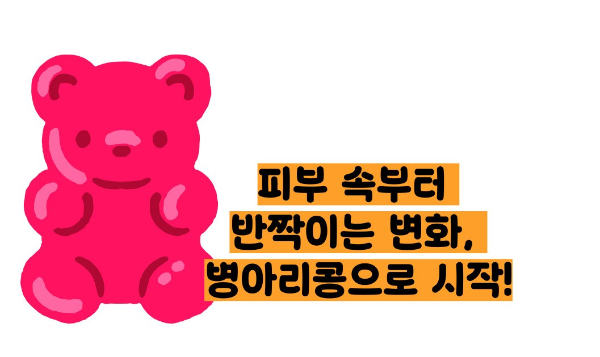 병아리콩 효능 부작용