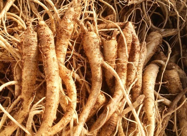 도라지 효능ㅣ도라지 부작용ㅣ도라지 섭취법 활용법