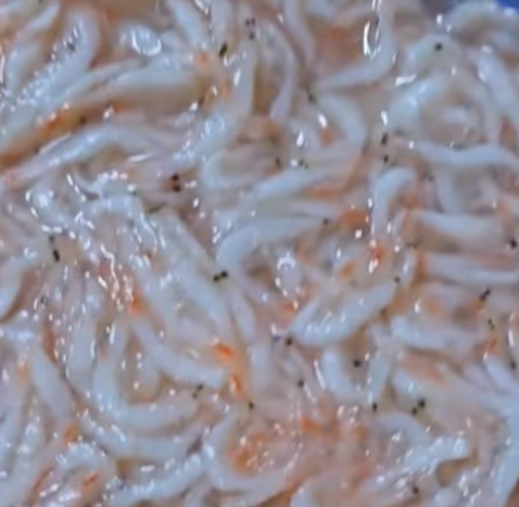 새우젓종류-육젓과추젓