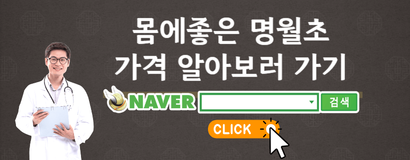 명월초