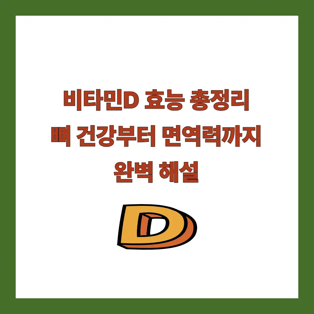 비타민d 효능