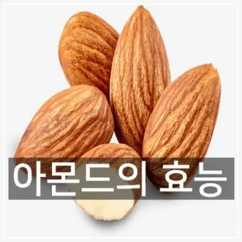 아몬드 효능 하루 섭취량 칼로리 알아보기_16