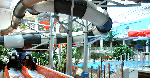 수도권 워터파크