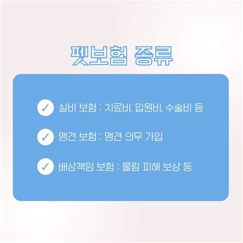 고양이 보험