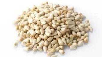 홍화씨 효능 영양성분 홍화씨유 먹는법_1