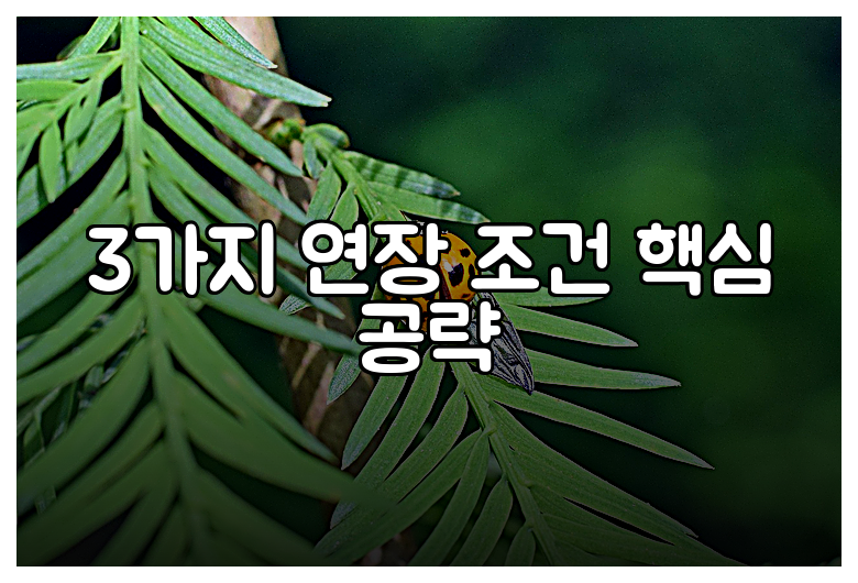 3가지 연장 조건 핵심 공략