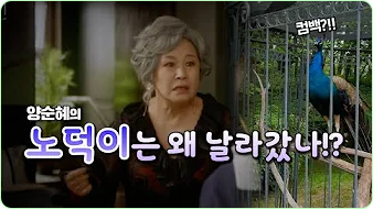 박원숙 박원숙의 같이 삽시다 시즌3, 나이, 재방송, 남해 카페, 프로필, 아들,고향, 가족, 드라마