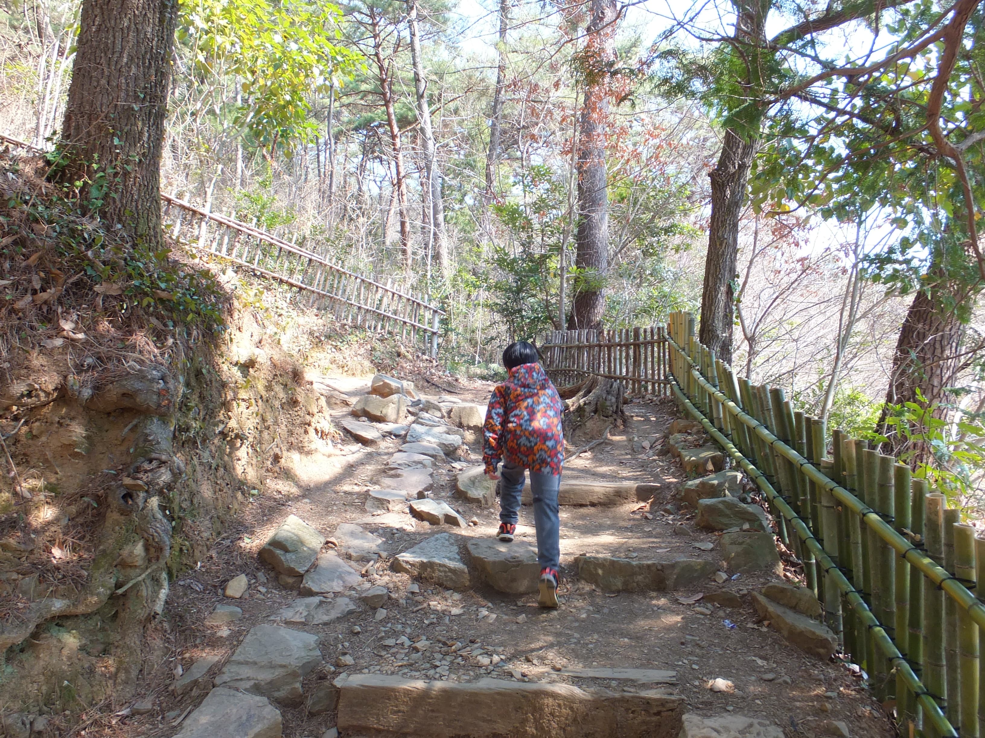 다산초당 오르는 길의 똘망이