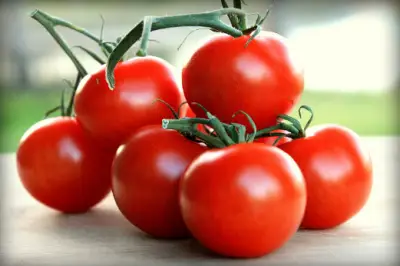 세계 10대 슈퍼푸드 종류와 효능