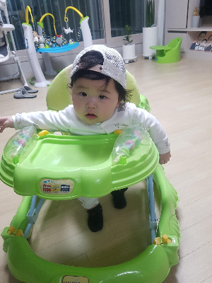 멍하게 바라보는 딩동이