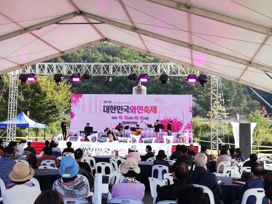  제13회 대한민국 와인축제 in 영동 특징