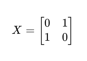 Pauli-X 비트플립 행렬