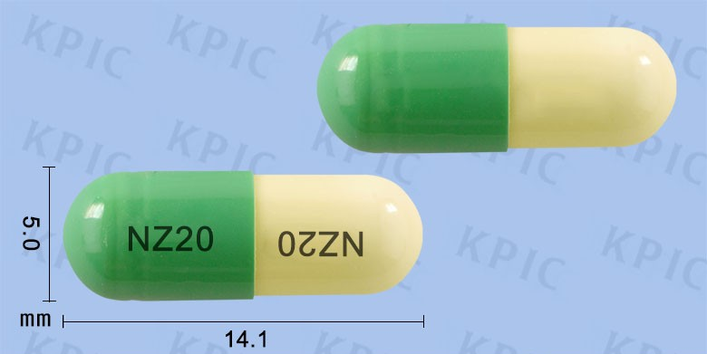 노르작캡슐에 대한 모든 것