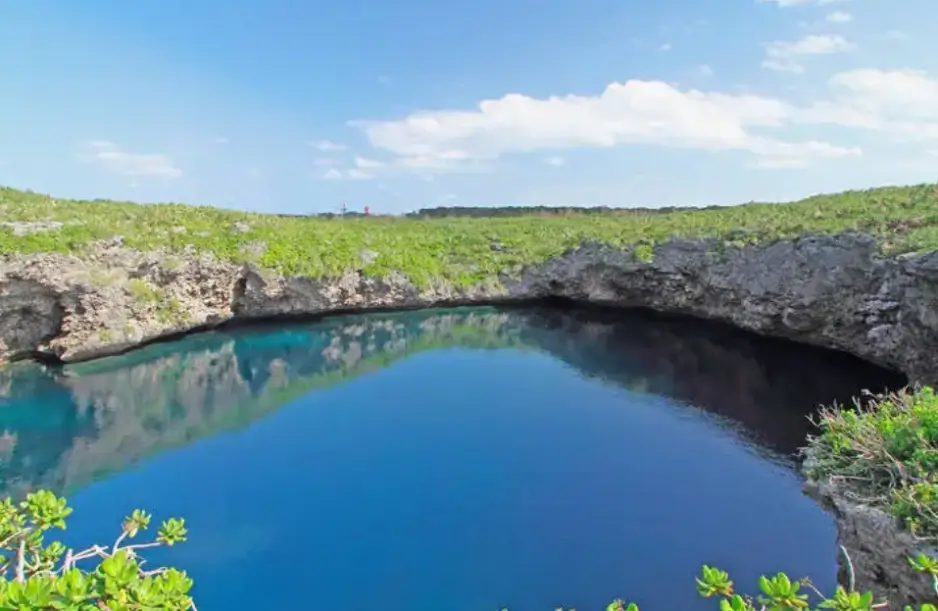 일본 도리이케연못