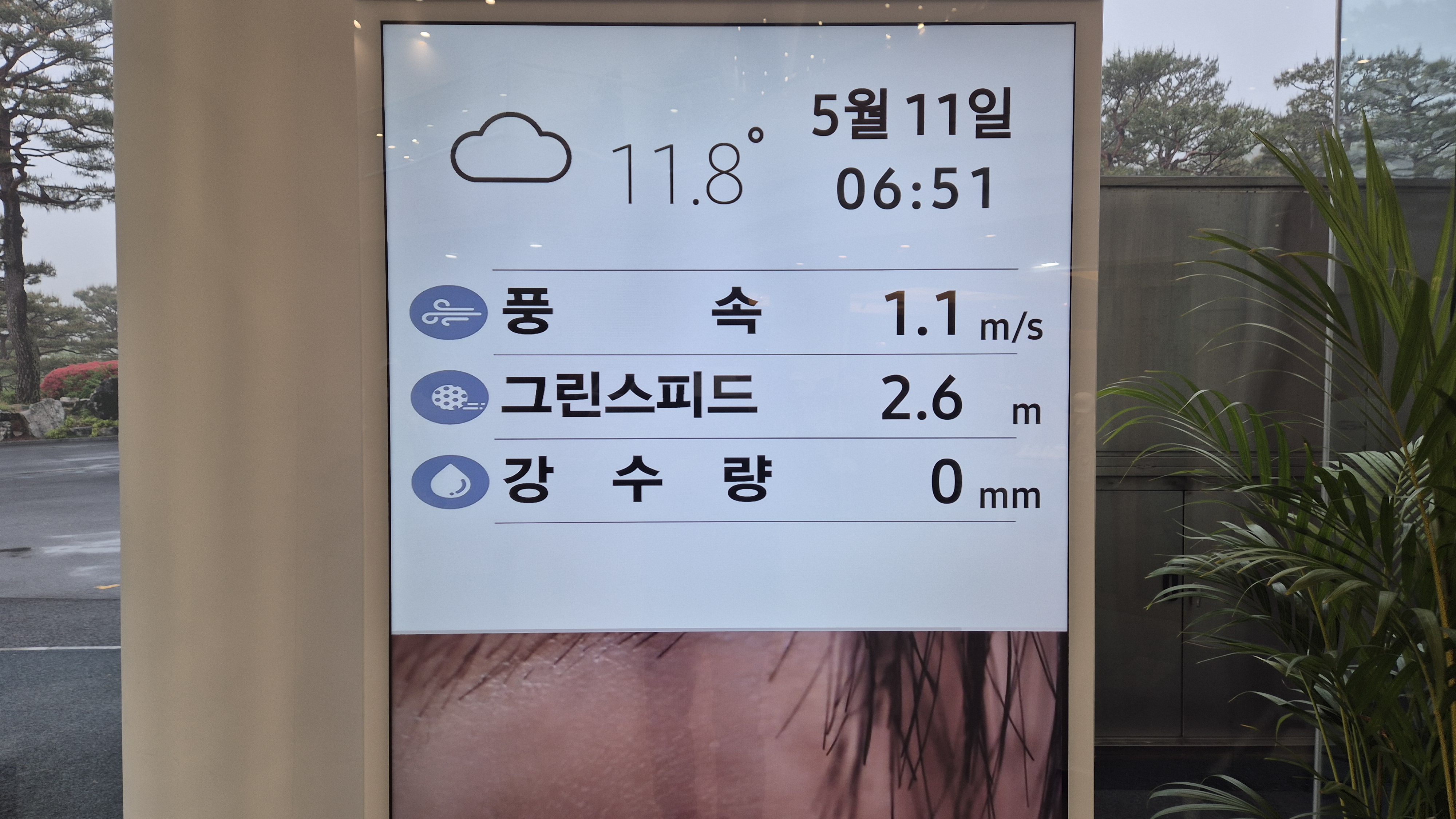 엘리시안 강촌cc 라운드 후기