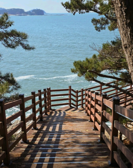 태안 가볼만한곳 베스트10