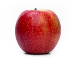 난청에 좋은 음식 영양제 식단