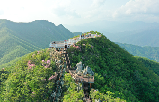 함양 대봉산 모노레일 후기: 가족, 커플 여행자에게 추천하는 이유