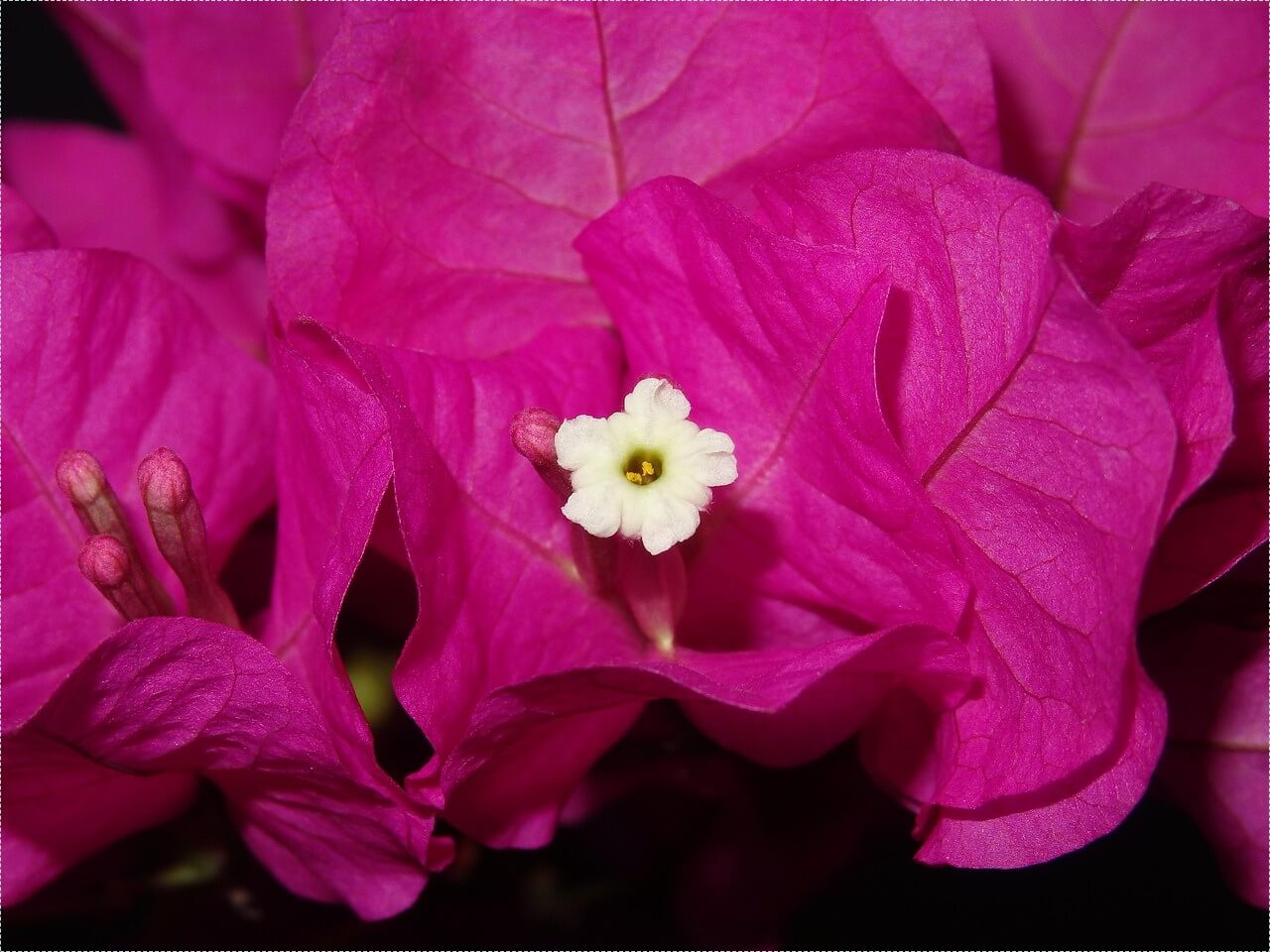 1억 은행 예금이자