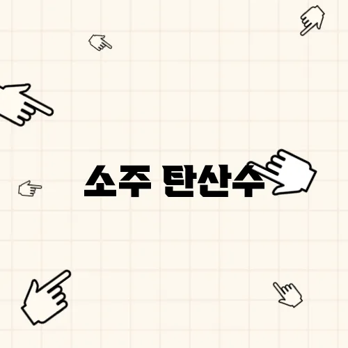 소주 탄산수