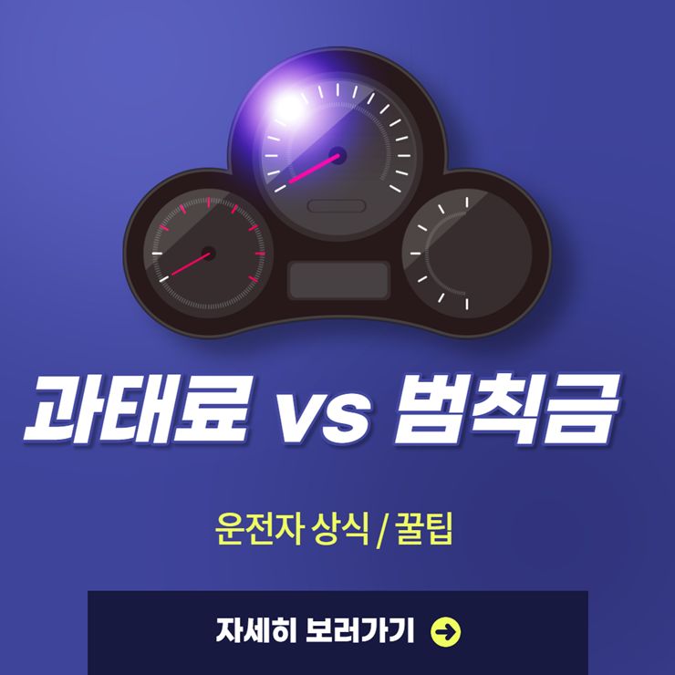 과태료 범칙금