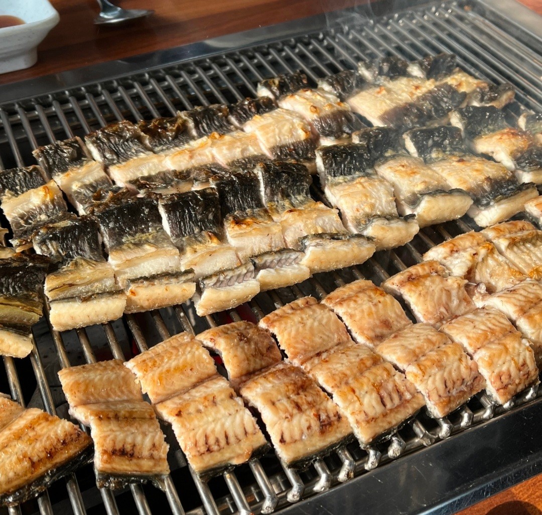 고창선운산풍천장어