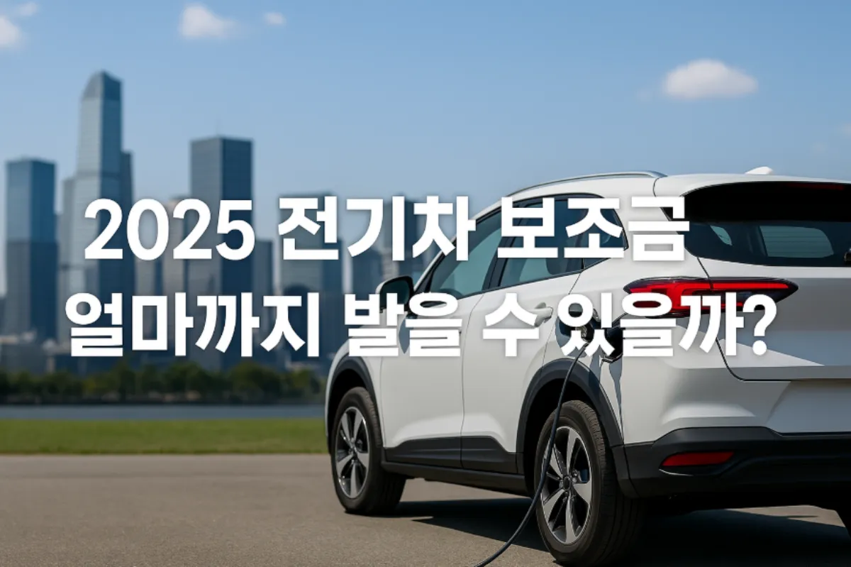 2025 전기차 보조금 총정리