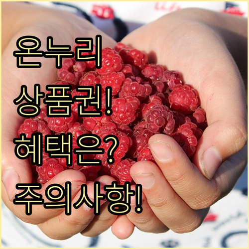 온누리상품권 결제 시 꼭 알아야 할 ..