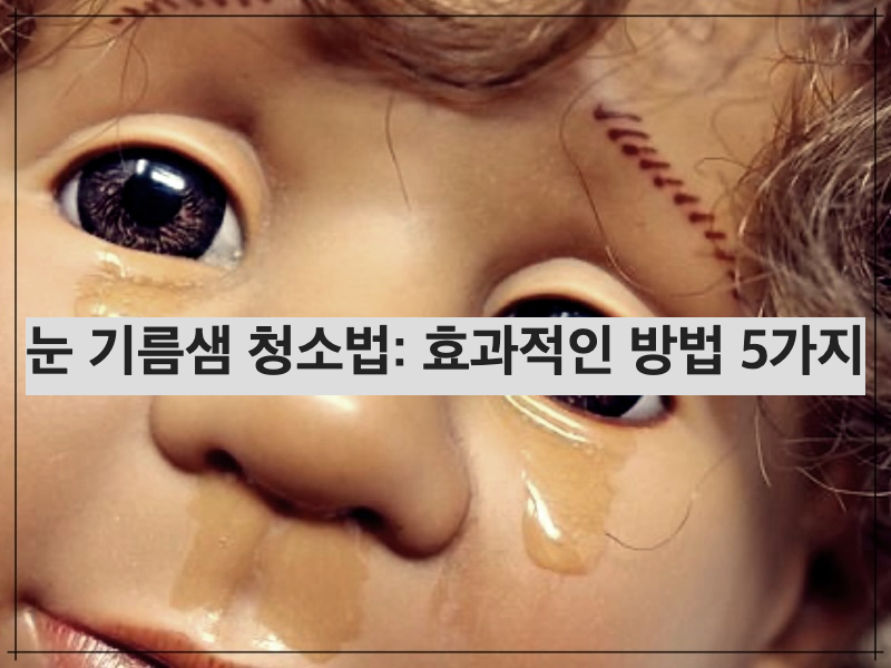 눈 기름샘 청소법: 효과적인 방법 5가지