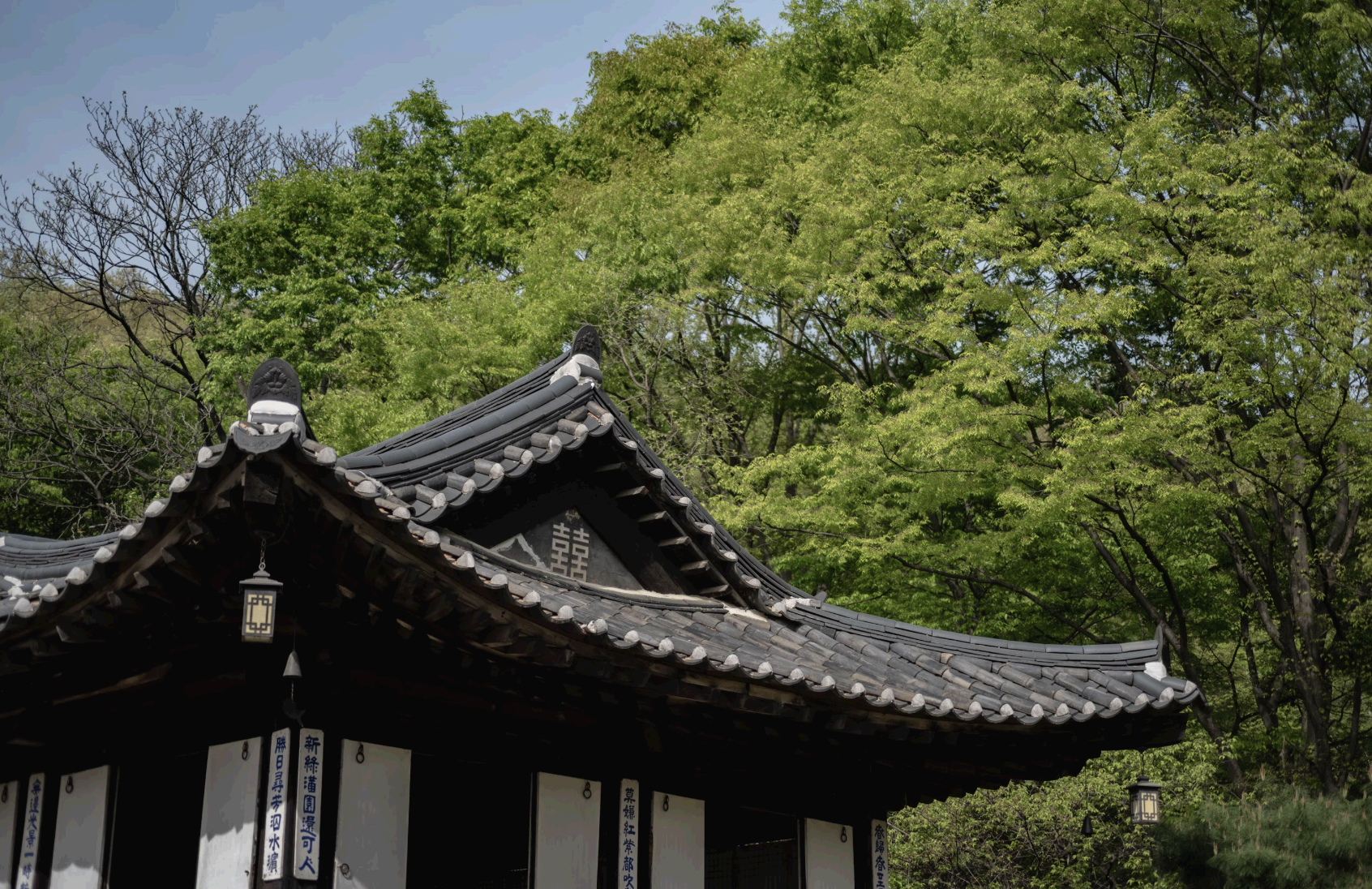 한옥의 처마(軒)는 왜 길게 뻗어 있는가? – 빛과 바람을 조절하는 원리