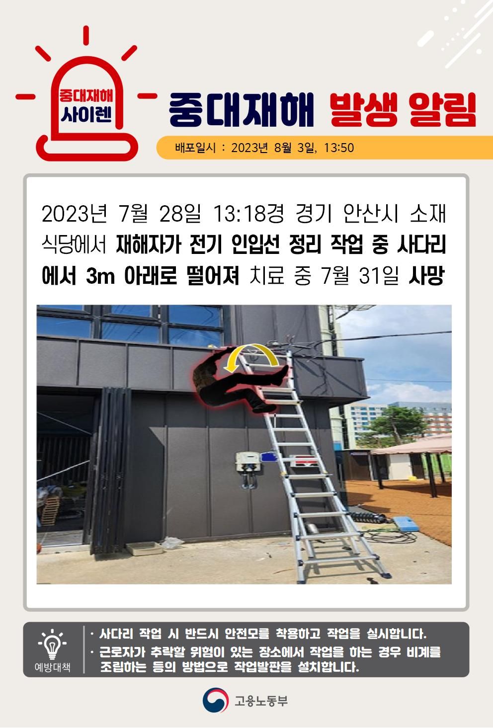 전기 인입선 정리 작업 중 사다리에서 떨어짐(3m)