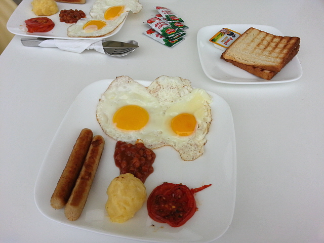 zion hills 브런치