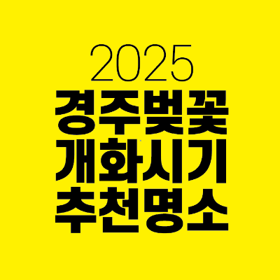 썸네일-2025-경주-벚꽃-개화-시기-추천-명소