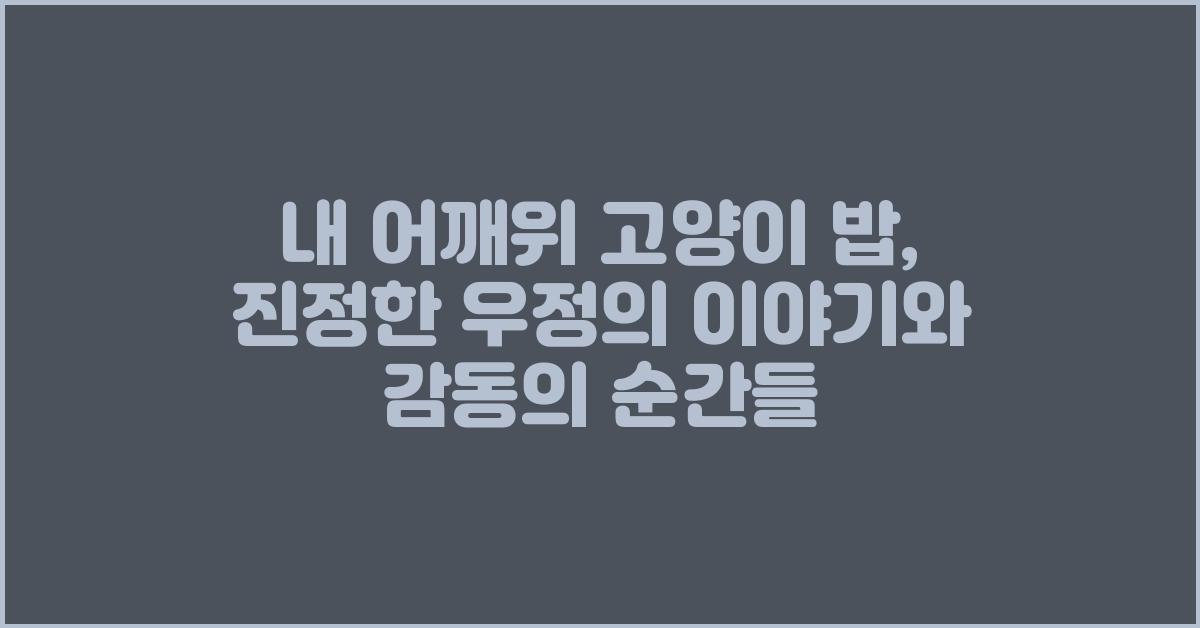 내 어깨위 고양이 밥