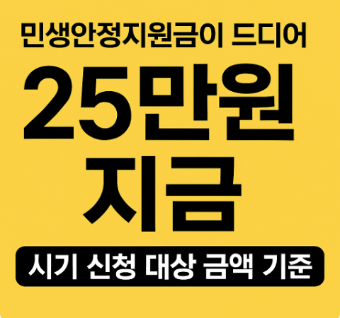 민생안정지원금 지급시기 신청대상 금액 기준