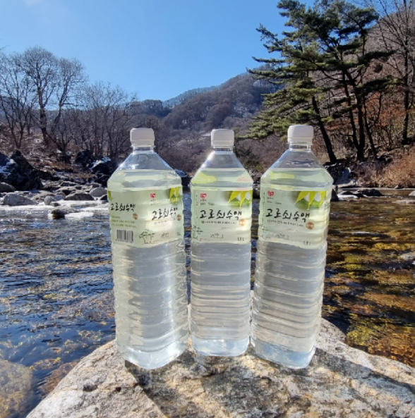 고로쇠 수액&amp;#44; 봄의 기적! 건강과 맛을 동시에 담다