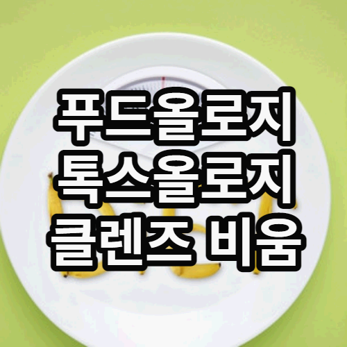푸드올로지 톡스올로지 클렌즈 비움 썸네일