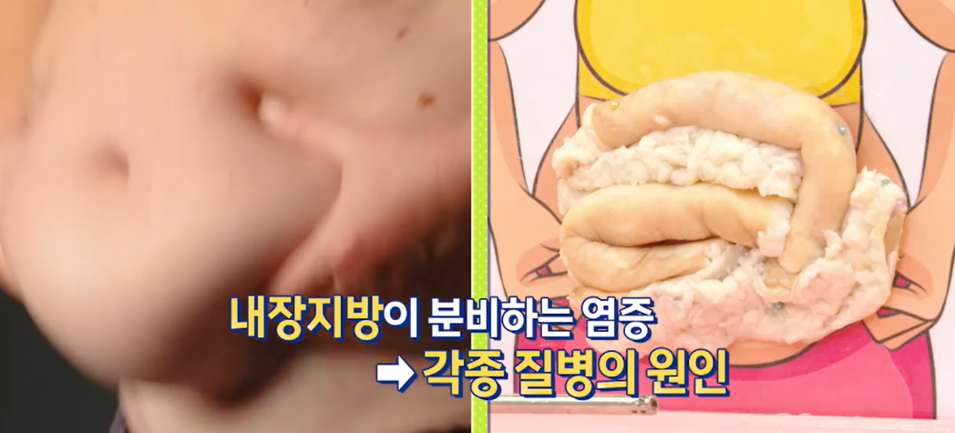 모로실 효능