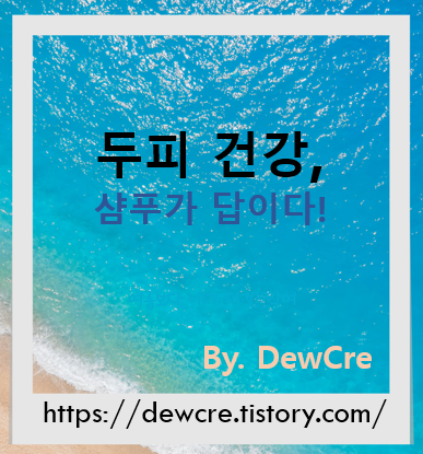 건강한 두피가 건강한 머릿결을 만든다! 올바른 샴푸 선택법