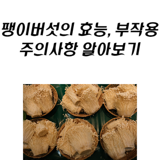 팽이버섯의 효능과 부작용, 주의사항
