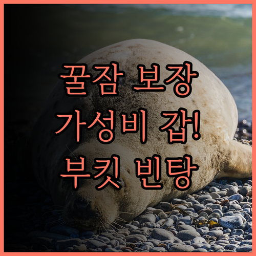 쿠알라룸푸르 슬리핑 라이온 스위트 완