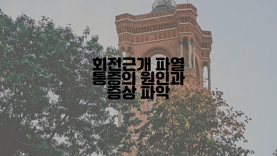 회전근개 파열 통증의 원인과 증상 파악
