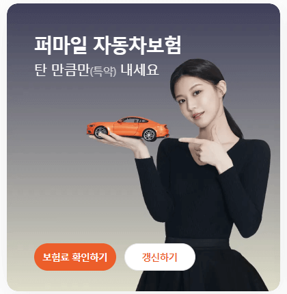 자동차 보험료 확인하기