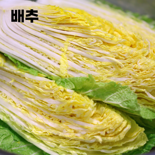 수면에-좋은-음식